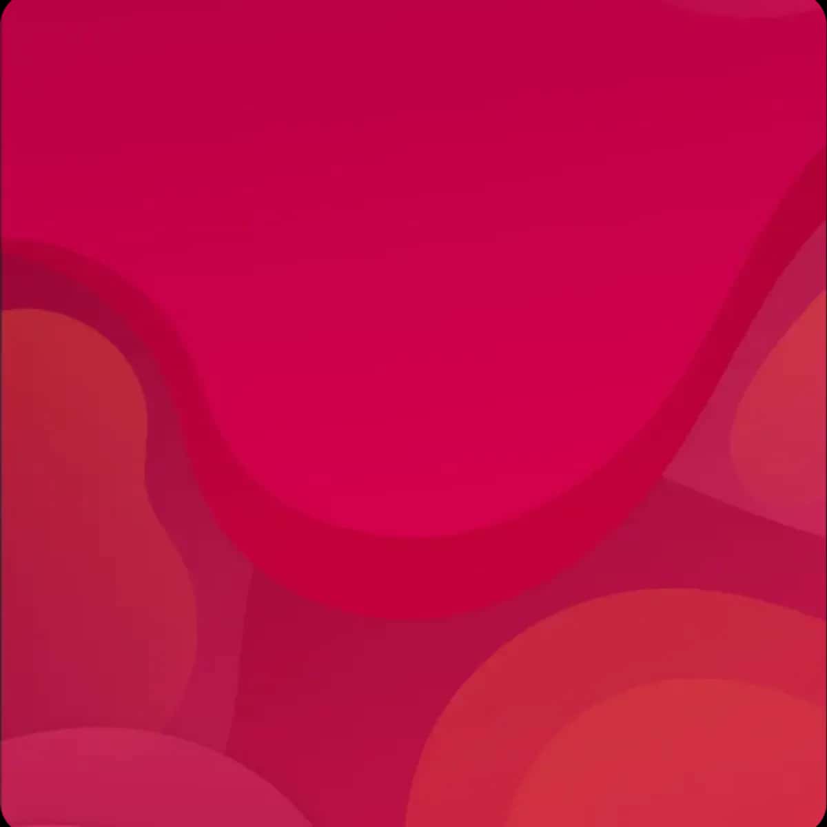 test ilan test ilan test ilan test ilan test ilan test ilan test ilan