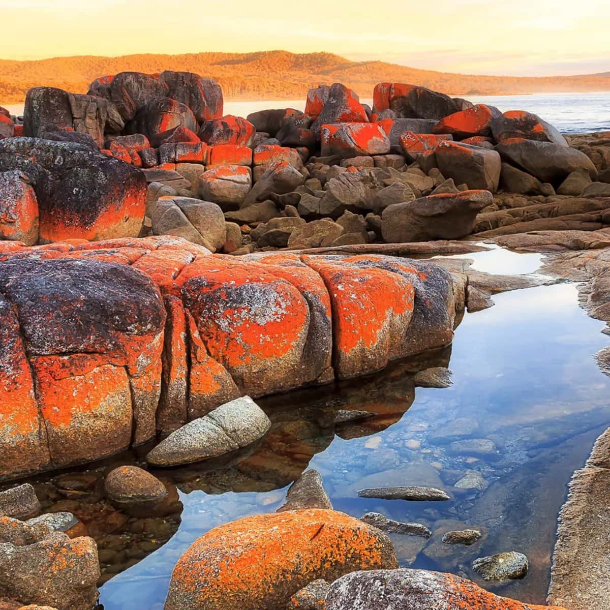 SM Insta 100 Beğeni Testi SM Beğeni Testi